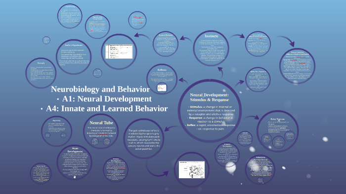 Neurobiology And Behavior By Kameron Snyder 