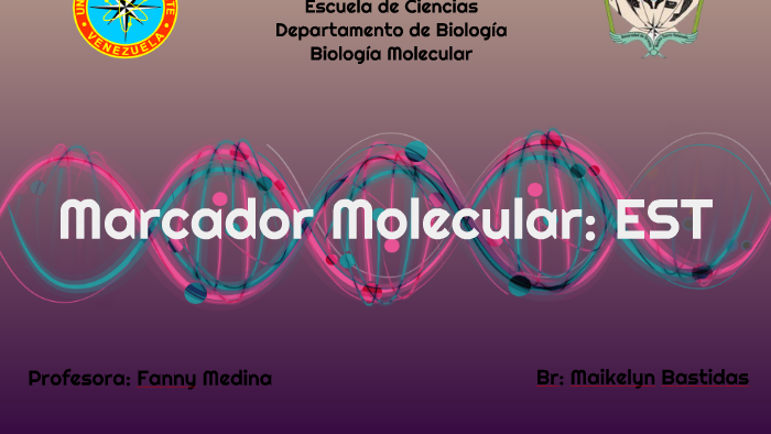 Marcador de Secuencia Expresada by Kiki Bastidas on Prezi