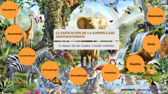 CLASIFICACIÓN DE LA SUPER CLASE GNATHOSTOMATA by Jhuliza Vera on Prezi