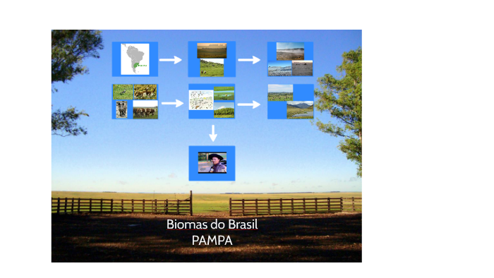 Biomas do Brasil by flávia vieceli on Prezi