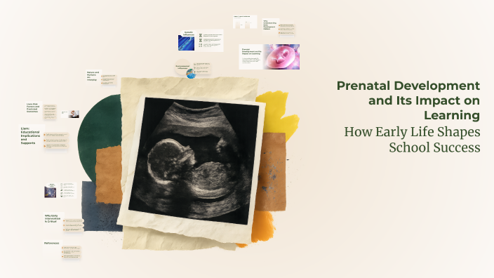 Prenatal Development and Its Impact on Learning by izzy Winkler on Prezi