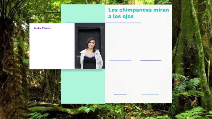 Los chimpancés miran a los ojos by El nero pai Bernal on Prezi