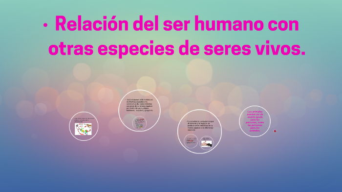 El Ser Humano Y Las Otras Especies