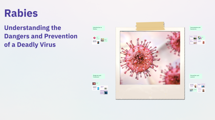 Thad Rabies Rabies by Thơ Tạ Hoàng Trúc on Prezi