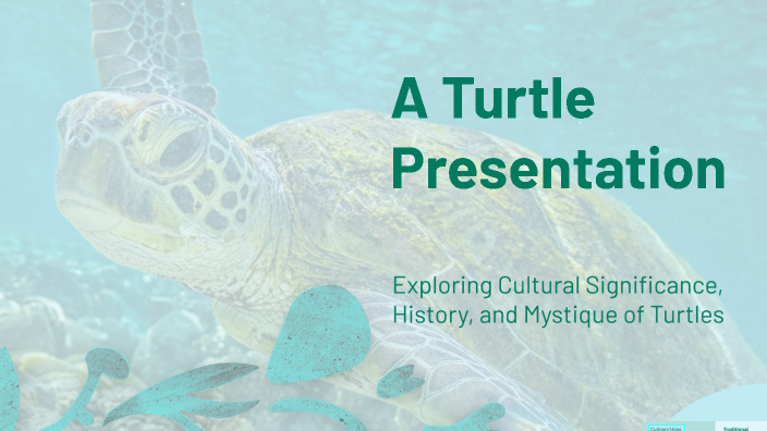 A Turtle Presentation by Christopher Foote on Prezi