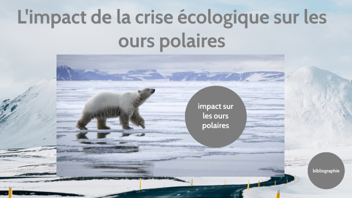 L'impact de la crise écologique sur les ours polaires by valentin ...