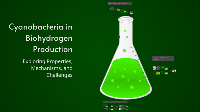 Cyanobacteria in Biohydrogen Production by Amr mosaad on Prezi