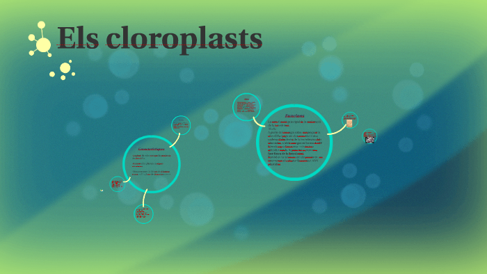 Els cloroplasts by patricia martinez