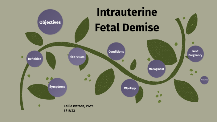 educational topic 21 fetal demise