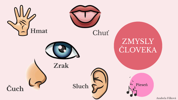 Zmysly človeka by Anabela Filkova on Prezi