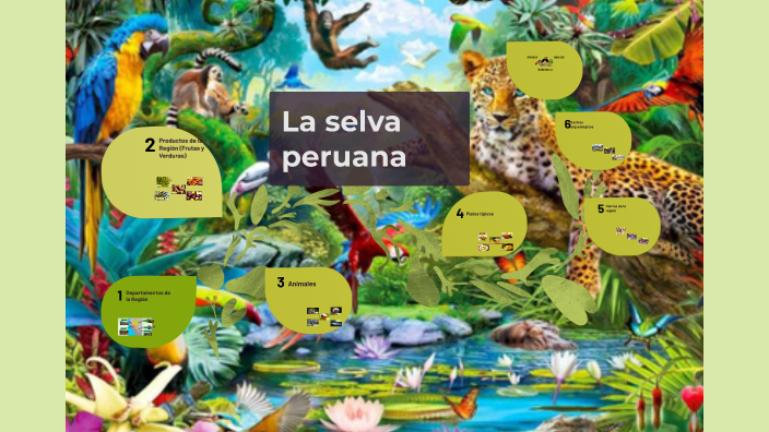 La selva peruana by DANIEL OLIVERA on Prezi