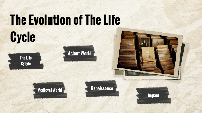Evolution of The life Cycle by Mayerli Molina on Prezi