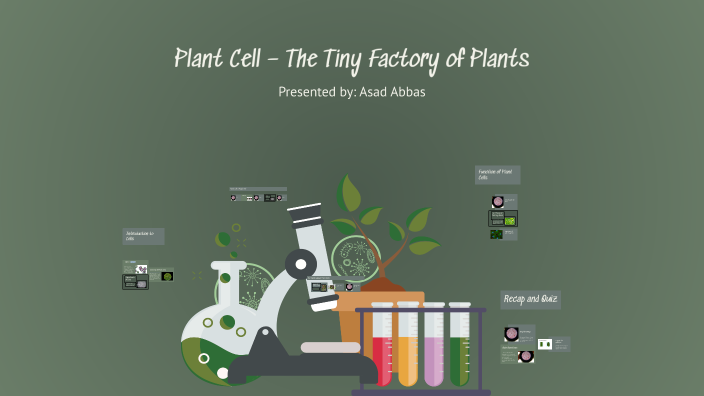 Plant Cell – The Tiny Factory of Plants by Asad Khan on Prezi