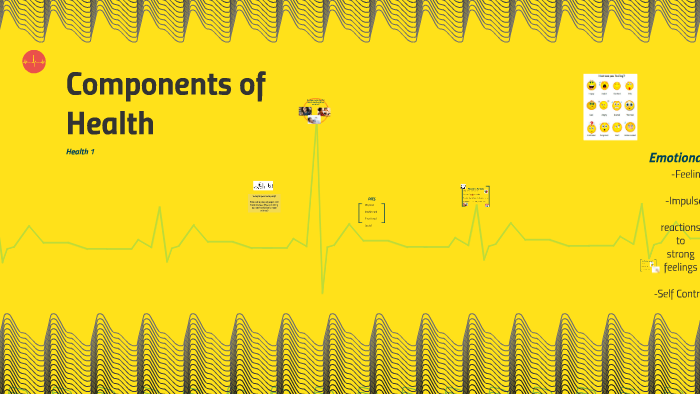 components-of-health-by-kathryn-hoffman