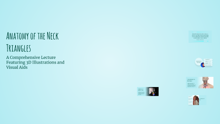 triangles of the neck | ppt Images High Quality Grahic Anatomy of the Neck Triangles by Dr Nour on Prezi