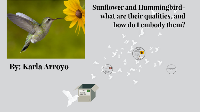 Free Free 61 Sunflower And Hummingbird Svg SVG PNG EPS DXF File