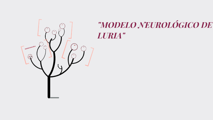 MODELO NEUROLOGICO DE LURIA" by FERNANDA VALENZUELA on Prezi