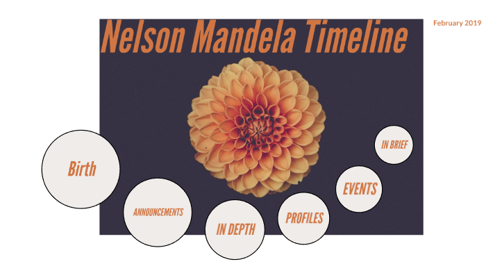 Nelson Mandela Timeline By Andrew Hedrick