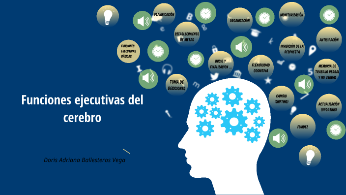 Funciones ejecutivas del cerebro by adriana ballesteros on Prezi