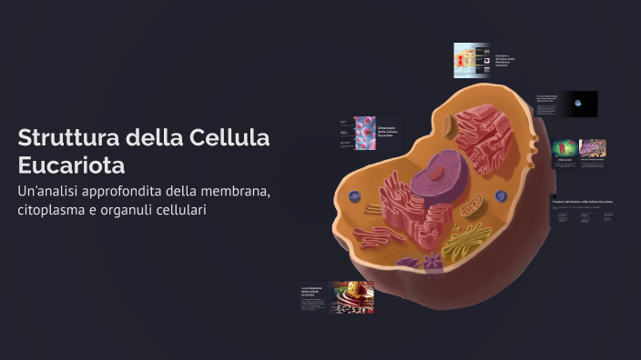 Struttura della Cellula Eucariota by Giulia Torasso on Prezi