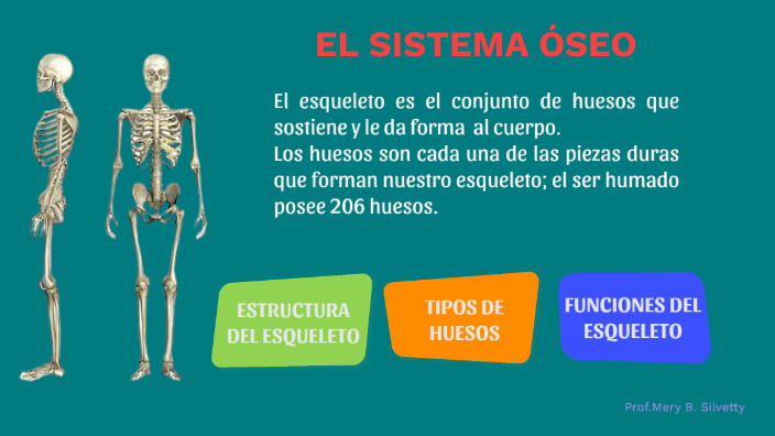 EL SISTEMA ÓSEO by Betty Silvetty on Prezi