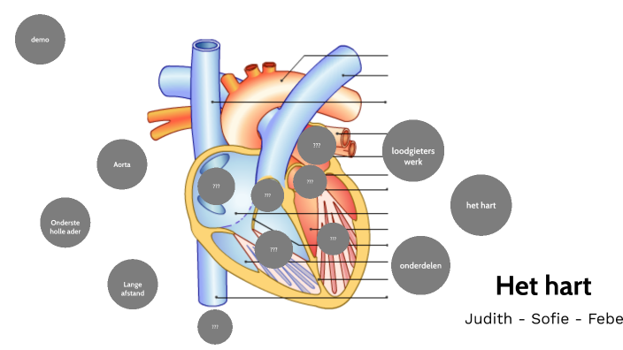 mijn lijf (het hart) by Judith Desmet on Prezi