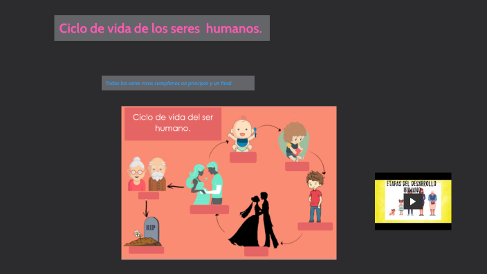 Ciclo De Vida De Los Seres Humanos By Yesenia Vargas Chacón On Prezi Ciclo De Vida De Los Seres Humanos By Yesenia Vargas Chacón On Prezi