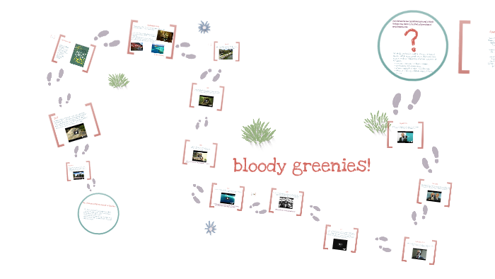 The Environmental Movement Timeline by Emily Haegi on Prezi