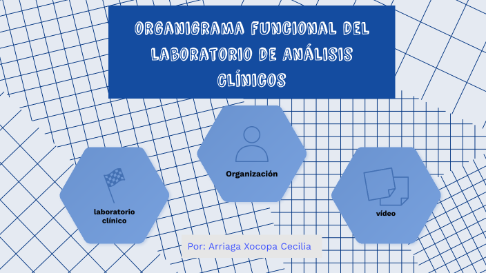 Manual De Organizacion De Un Laboratorio De Analisis Clinicos