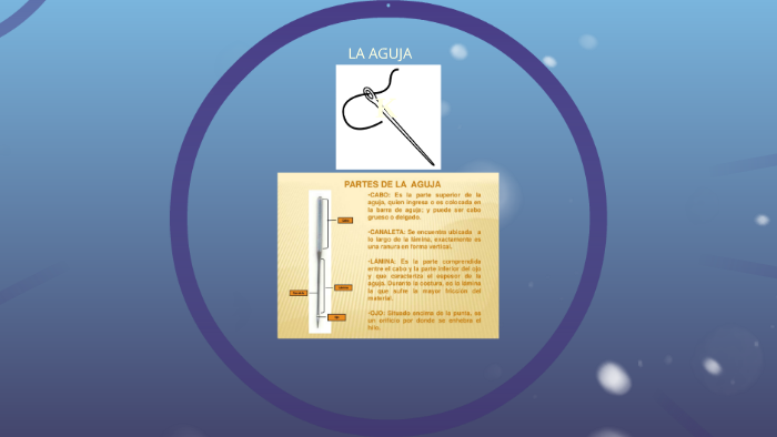 Los inicios de la Aguja Mágica - Revesderecho