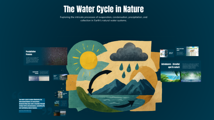 The Water Cycle in Nature by Claudia Serban on Prezi