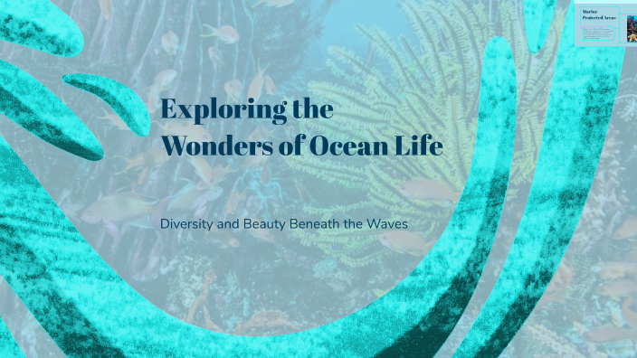 Exploring the Wonders of Ocean Life by Ryker Tatar on Prezi