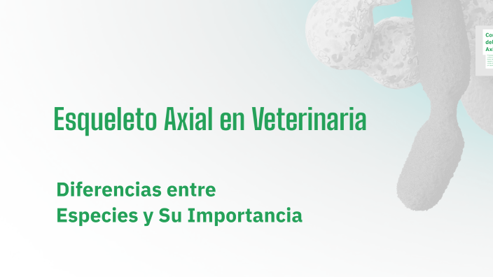 Esqueleto Axial En Veterinaria By Abigail Rivera On Prezi