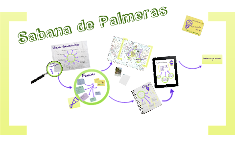 esquema de palmeras