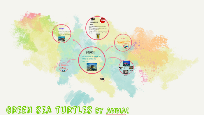 Green Sea turtles by Christina Smith on Prezi