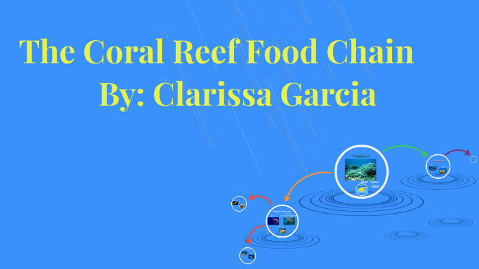 coral-reef-food-chain-by-nicholas-smith