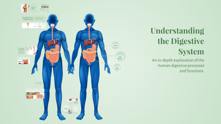Understanding the Digestive System by Caroline Hayes on Prezi