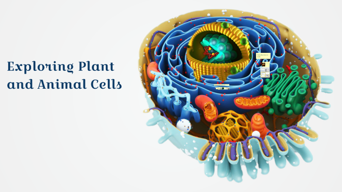 Exploring Plant and Animal Cells by Conner Fishburn-Student on Prezi