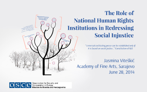 The Role of National Human Rights Institutions in Redressing by Jasmina ...