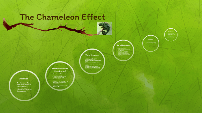 the chameleon effect joe arden