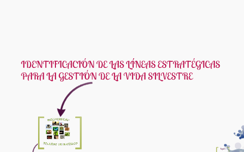 MODELO DE GESTION by karina ron on Prezi