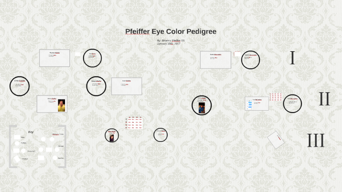 eye-color-pedigree-by-brianna-pfeiffer-on-prezi