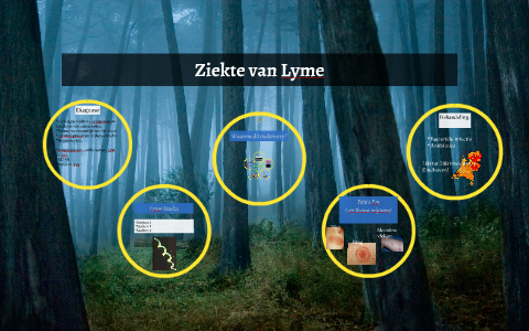 Ziekte Van Lyme By Tamara Smeets On Prezi