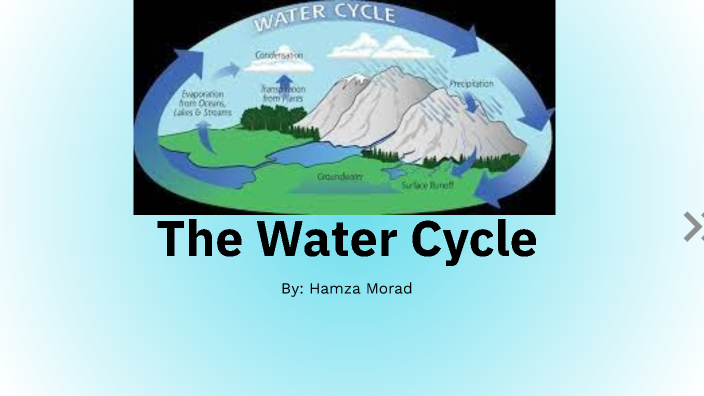 The Water Cycle by Hamza Morad on Prezi
