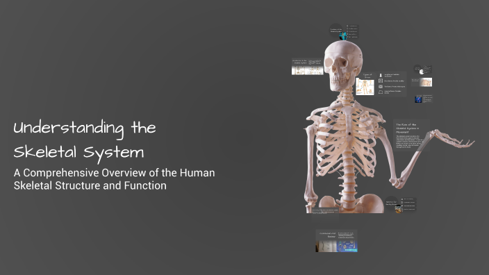 Understanding the Skeletal System by on Prezi