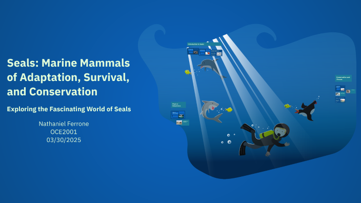 Seals: Marine Mammals of Adaptation, Survival, and Conservation by Nate ...