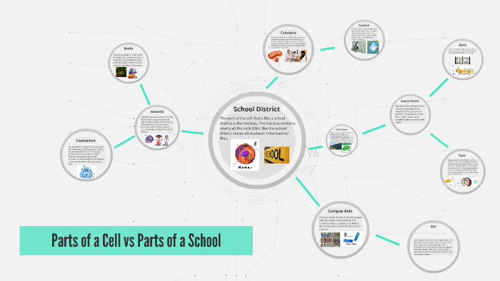 parts-of-a-cell-vs-parts-of-a-school-by-jessica-m