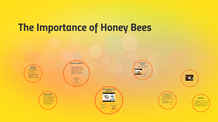 The Importance of Honey Bees by Anna Saenz on Prezi