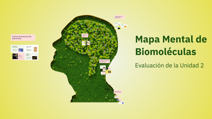 Mapa Mental de Biomoléculas by Eliana Escarraman on Prezi