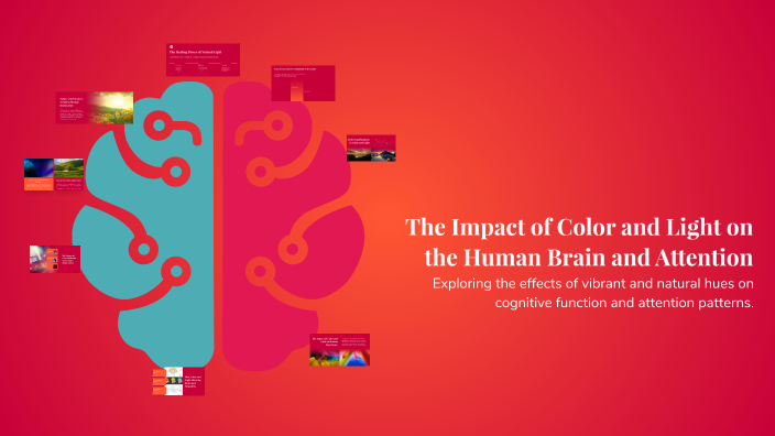 The Impact of Color and Light on the Human Brain and Attention by shiva ...
